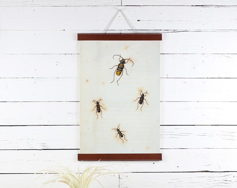 Insects Print 12x18
