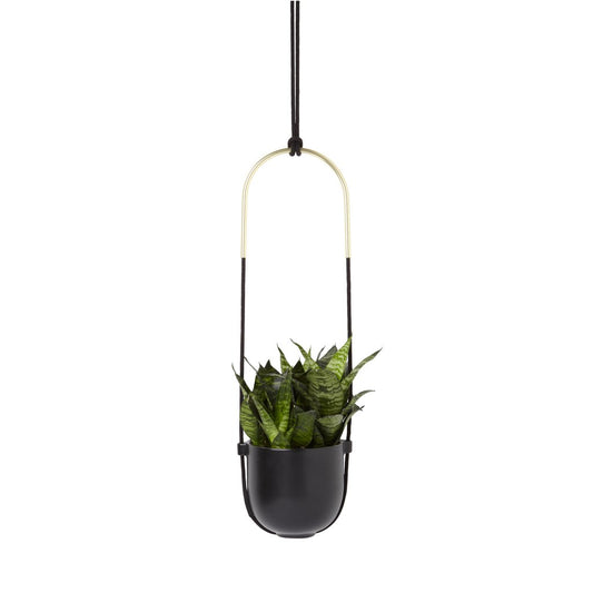 Bolo Planter - Black