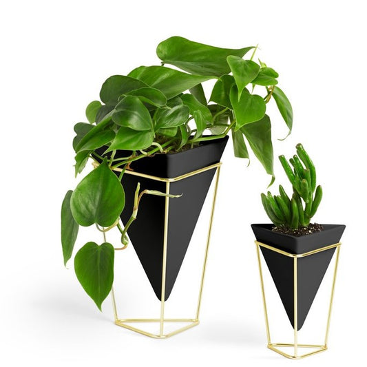 Trigg Tabletop Planter Set - Black/Brass